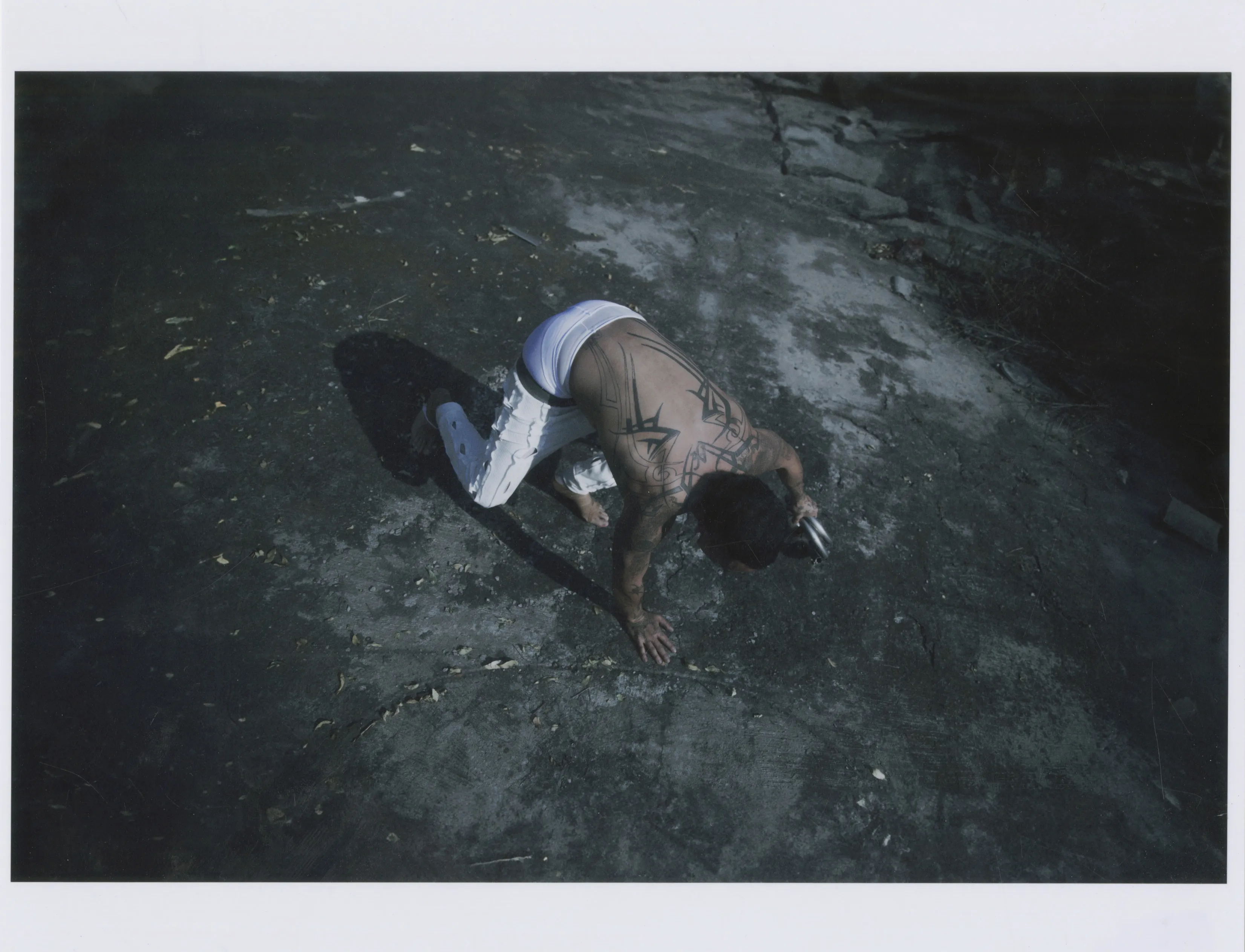 TCP S/S 26 CAMPAIGN