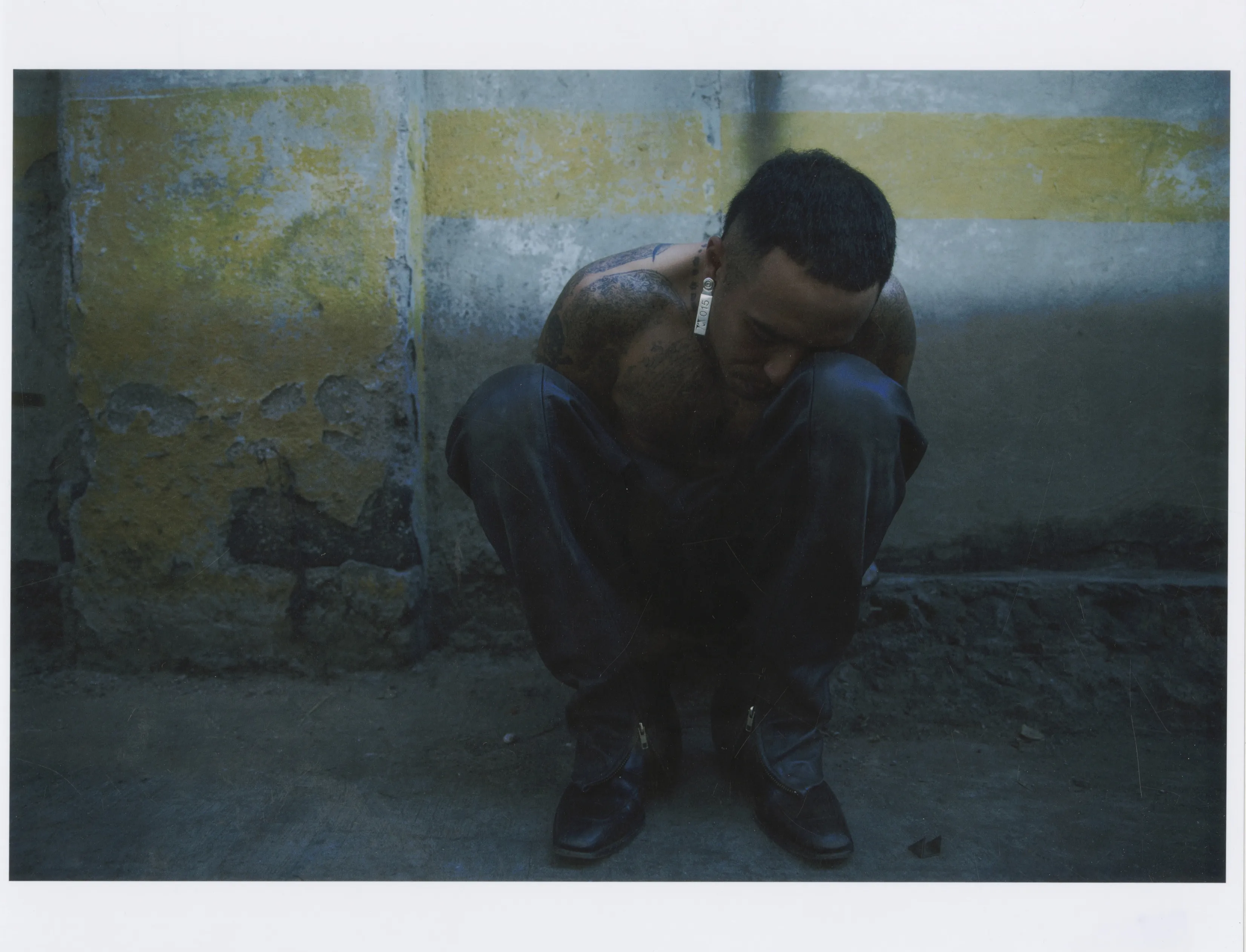TCP S/S 26 CAMPAIGN